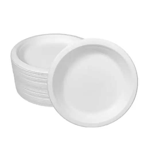 PLATOS DE PLÁSTICO